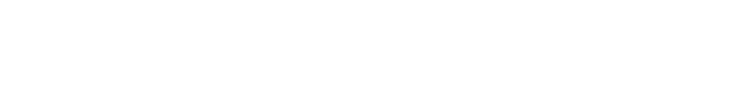 Dalsa Logo